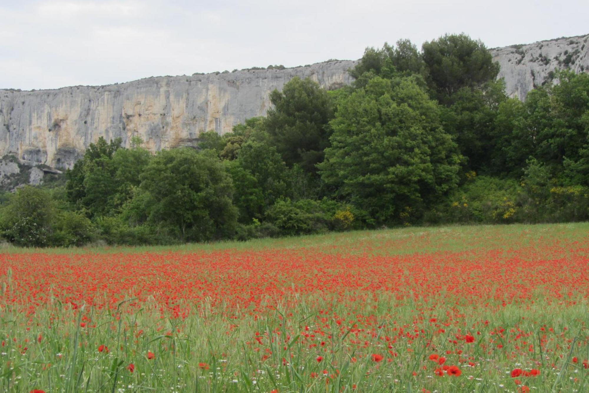 Les Cistes Vila Lioux Exterior foto