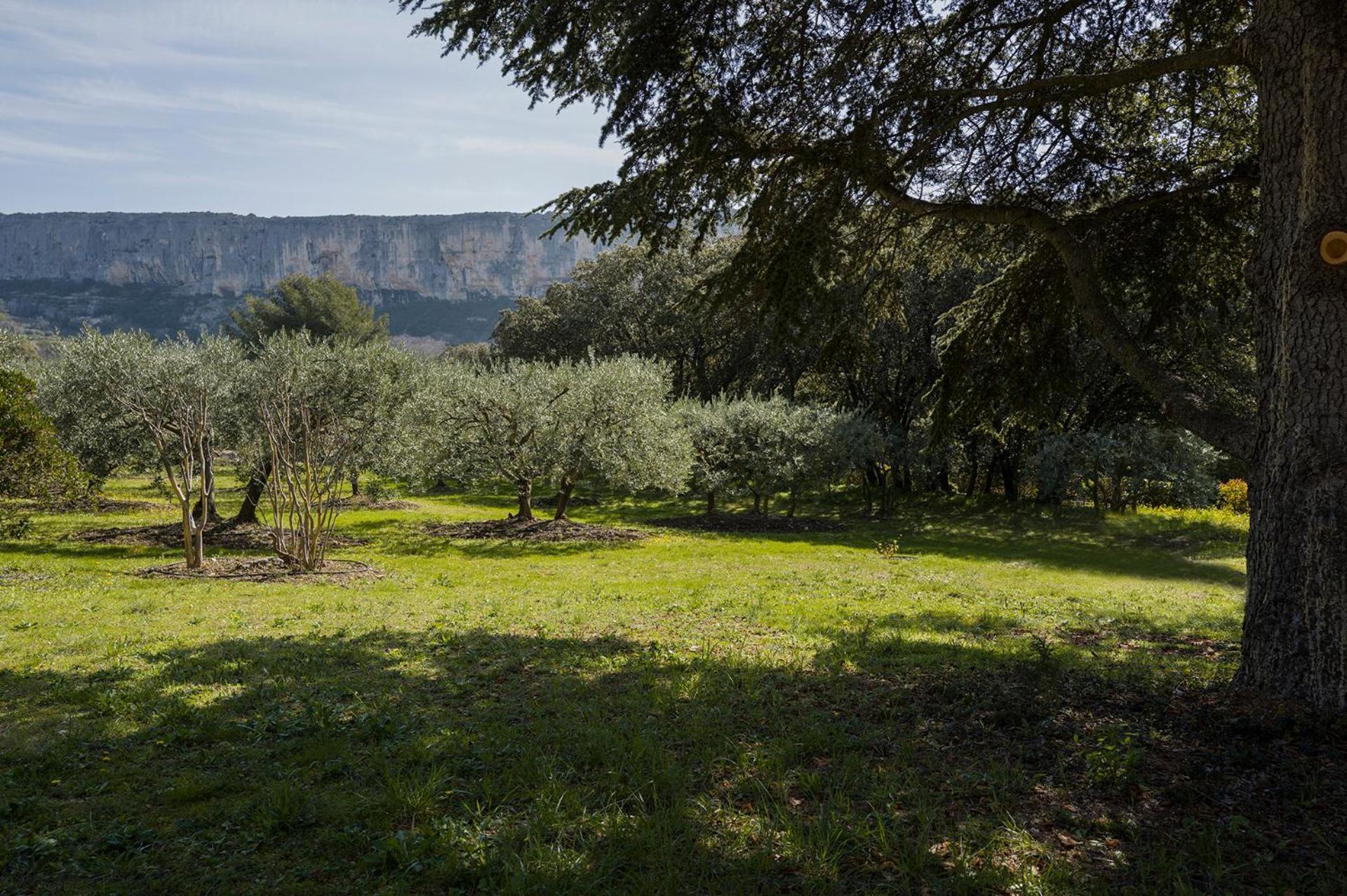 Les Cistes Vila Lioux Exterior foto